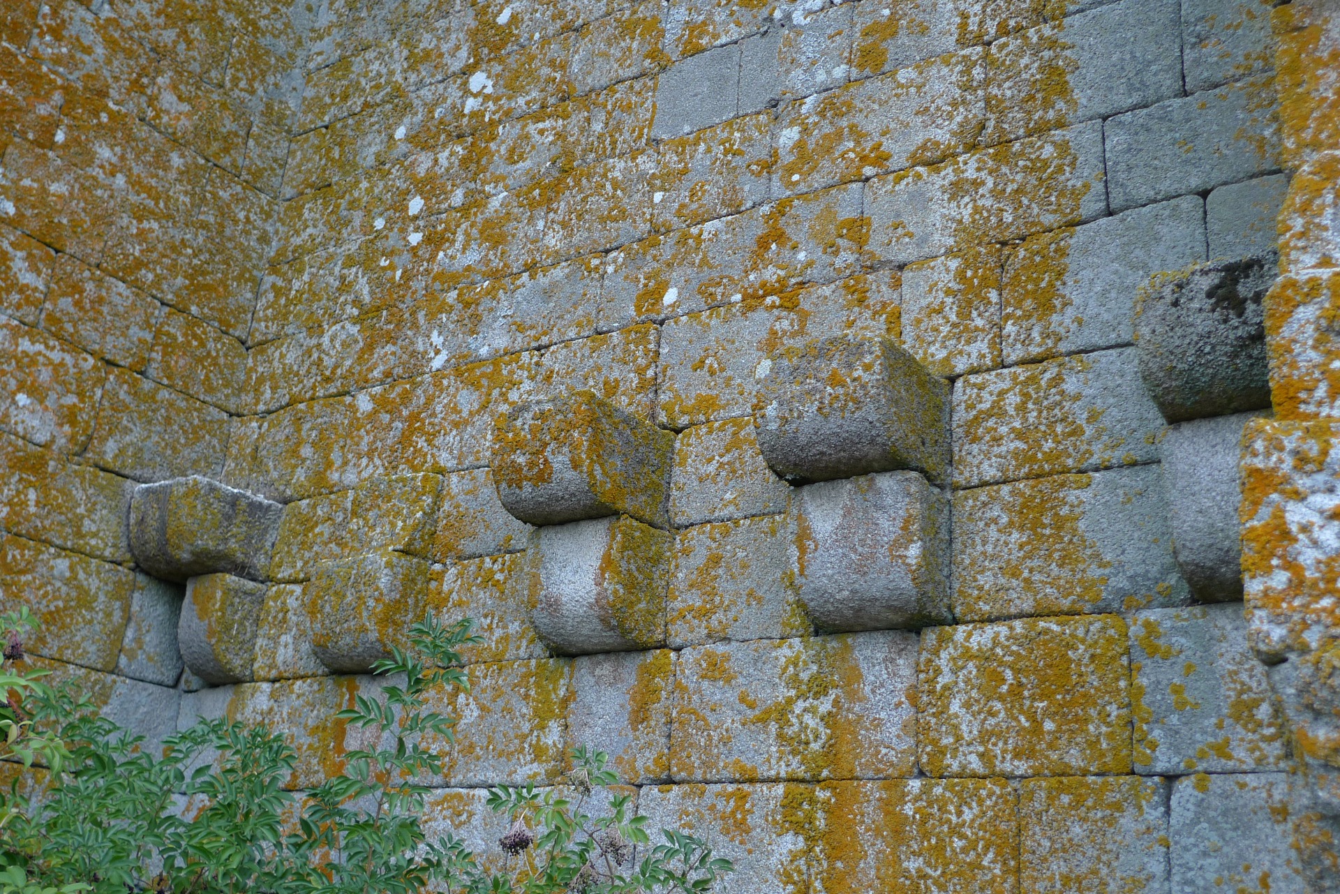 Xav.Feix.Detalle da Torre do Castro. 2014
